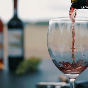 Il podere della marchesa – Il vino biologico di Tropea | VIDEO AZIENDALE